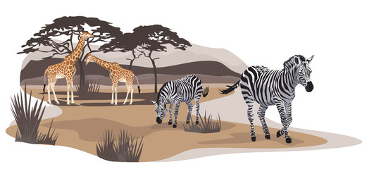 Obraz premium Savannah Animals