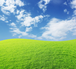 Fototapeta premium natur_rasen_himmel