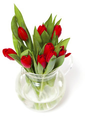 red tulips