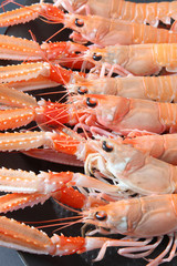 escamarles