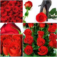 collage from 6 holiday photos with red roses