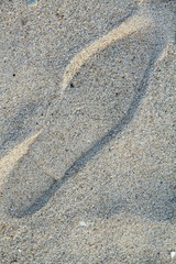 Fototapeta na wymiar Ślady na piasku Pittugongo plaży Sardynia Włochy