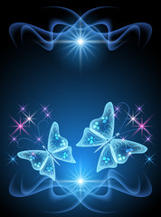 Transparent butterfly and stars