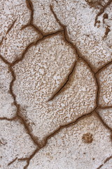 Arid and cracked soil