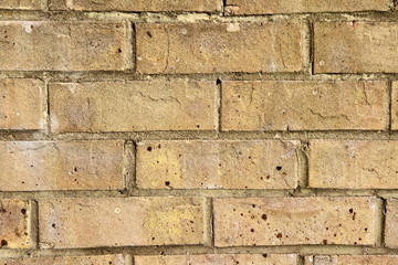 Brick wall in a close up