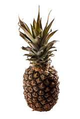 Fototapeta premium pineapple on white