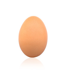 egg on a white background