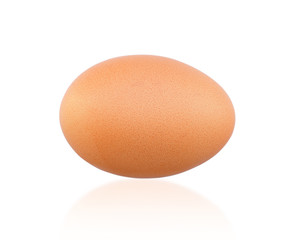 egg on a white background