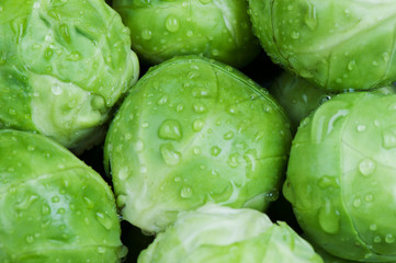 Brussels sprouts background