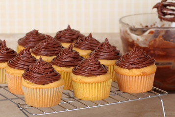Cupcakes Cooling