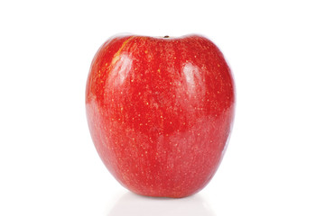Red fresh apple on a white background