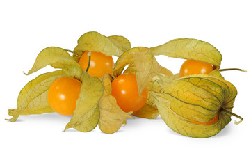 Obst 601