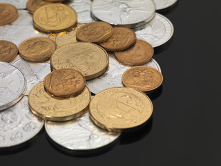 Gold & Silver Bullion Coins