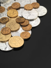 Gold & Silver Bullion Coins