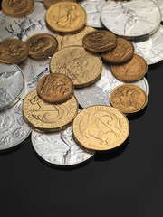 Gold & Silver Bullion Coins