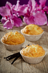 Sweet cupcakes and vanilla beans