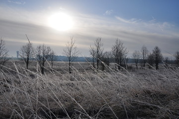 Obraz premium temps de glace 20