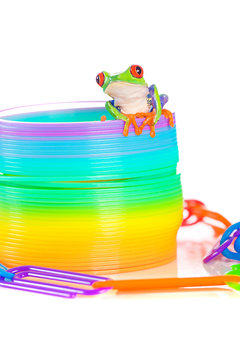 Colorful Frog on a Spring Toy