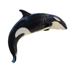 Deurstickers Orca Springende orka, Orcinus Orca