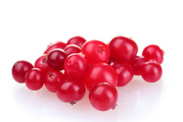 fresh cranberries isolated on white
