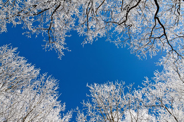 Landschaft mit Raureif, Frost und Schnee