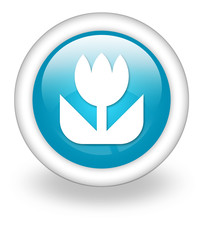 Light Blue Icon 