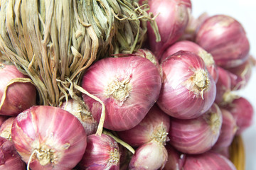 Shallots are vegetables cooking  every household.