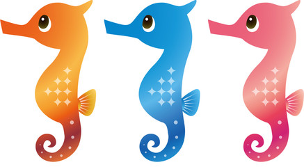 タツノオトシゴ３種