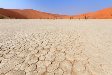 Dead Vlei, Namibwüste, Namibia, Afrika