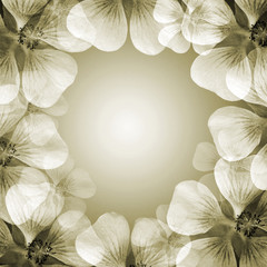 flowers frame with copy space