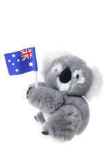 Soft Toy Koala