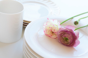 Cup and  plates with flowers on white background