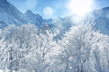 winter morning in mountains