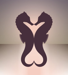 Seahorse couple © kozamir