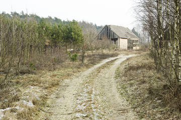 Stara chata w lesie