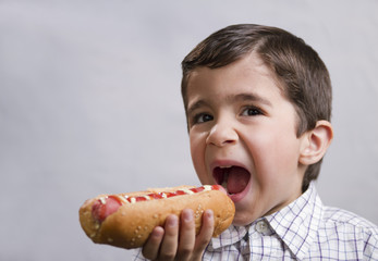 boy eating hot dog