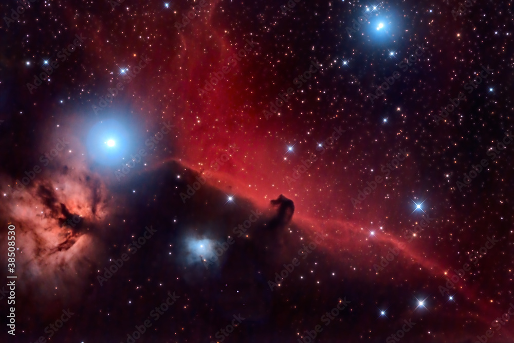 Wall mural horsehead nebula and flaming tree in the constellation orion