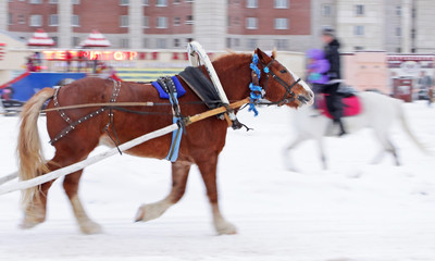 Катание на лошадях на городской площади во время праздника
