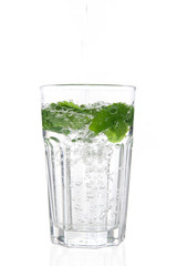 Glas heisses Wasser mit frischen Teeblättern