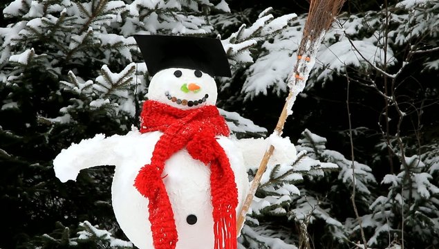 Ein Lehrer als Schneemann