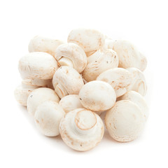 Champignon on white backround