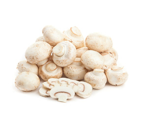 Champignon on white backround