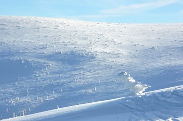 Zimowy krajobraz - widok ze Szrenicy, Szklarska Poręba