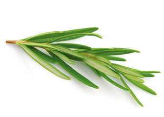 Fototapeta premium Rosemary spice