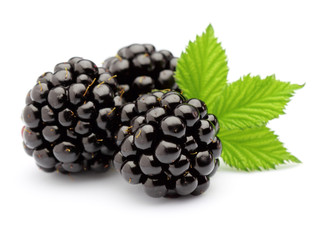 Blackberry with leaves