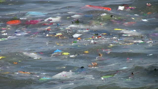 Water Pollution