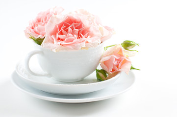 pink roses in a white cup