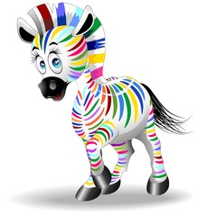 Zebra Cartoon Quadricromia-Four Color Process Zebra-Vector