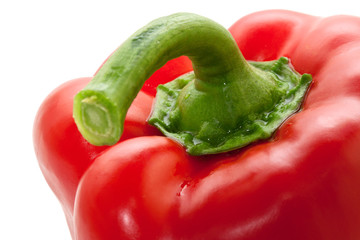Red paprika close up on a white background