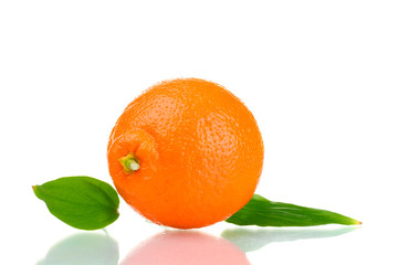 mineola fruit with leafs isolated on white